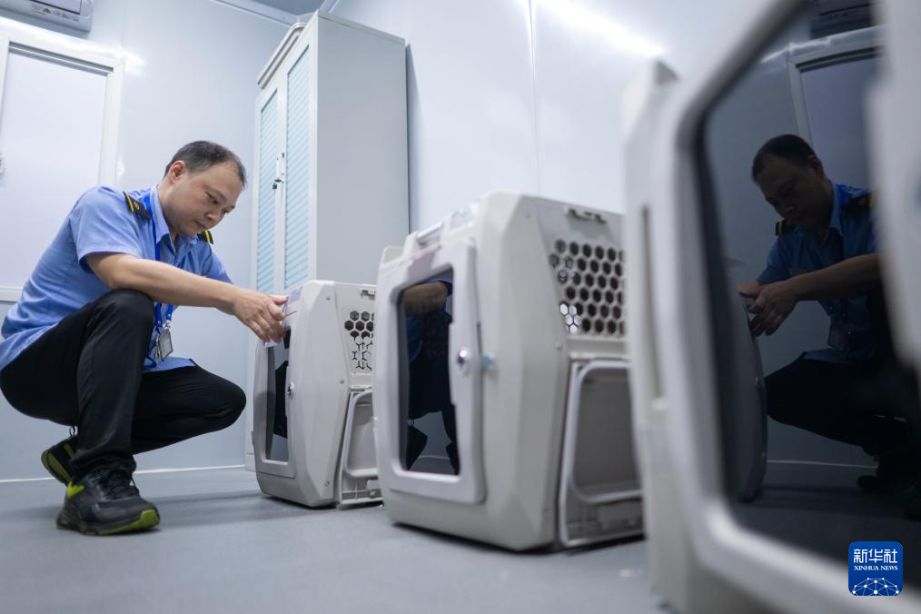 武汉：“萌宠”旅客乘高铁