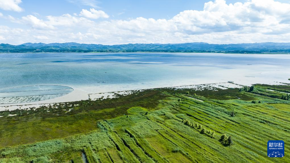 草海夏日风光美