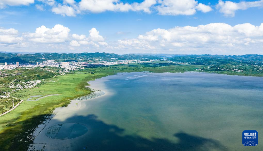 草海夏日风光美