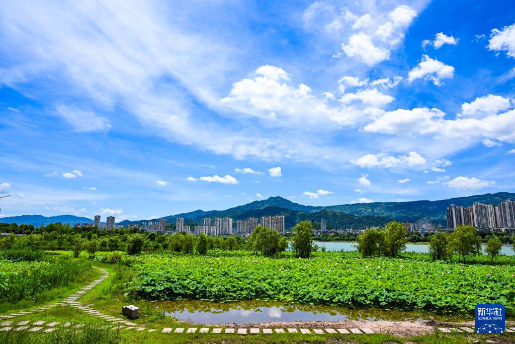 美丽中国｜重庆开州：城市内湖综合治理显效益