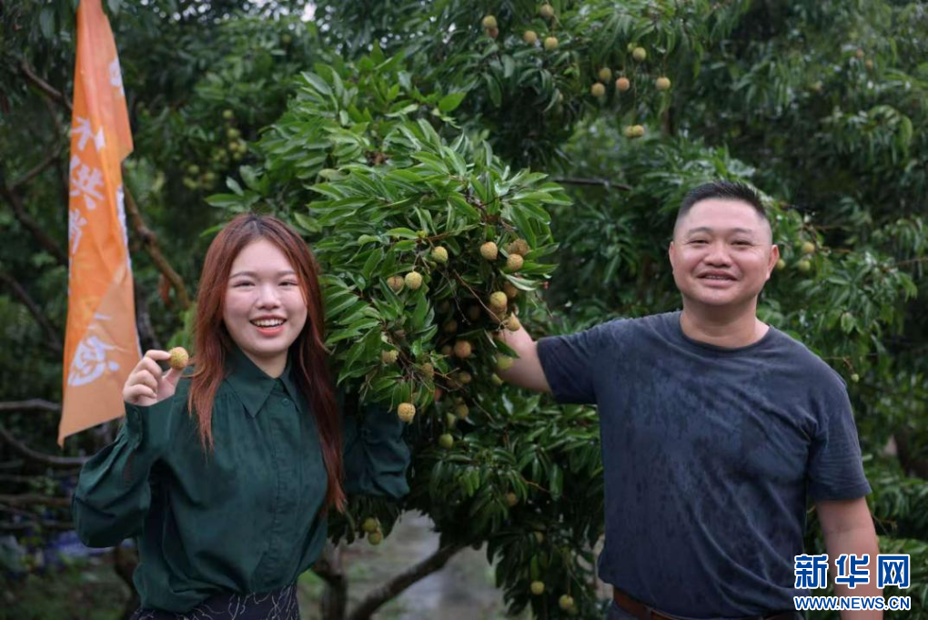 文化赋能 百业助荔｜广州从化：以“荔”为媒 推动乡村经济从“一季火”到“四季旺”