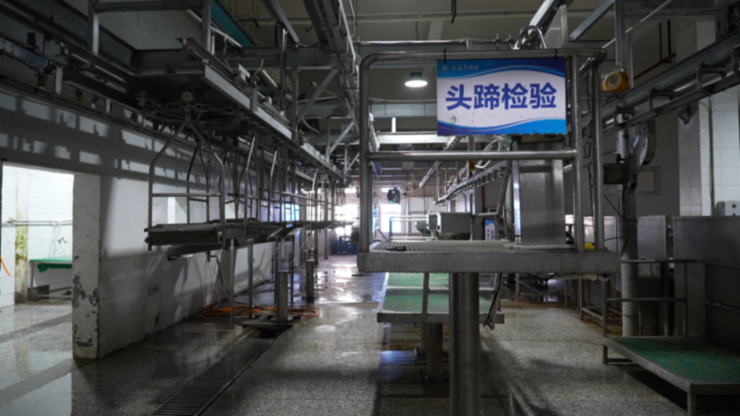 江苏连云港市东海县：严把源头关 筑牢“肉案子”安全防线