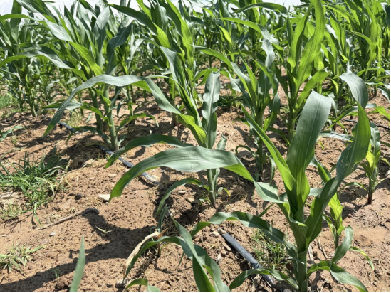 三项社会保险基金 截至9月底累计结余9.85万亿元