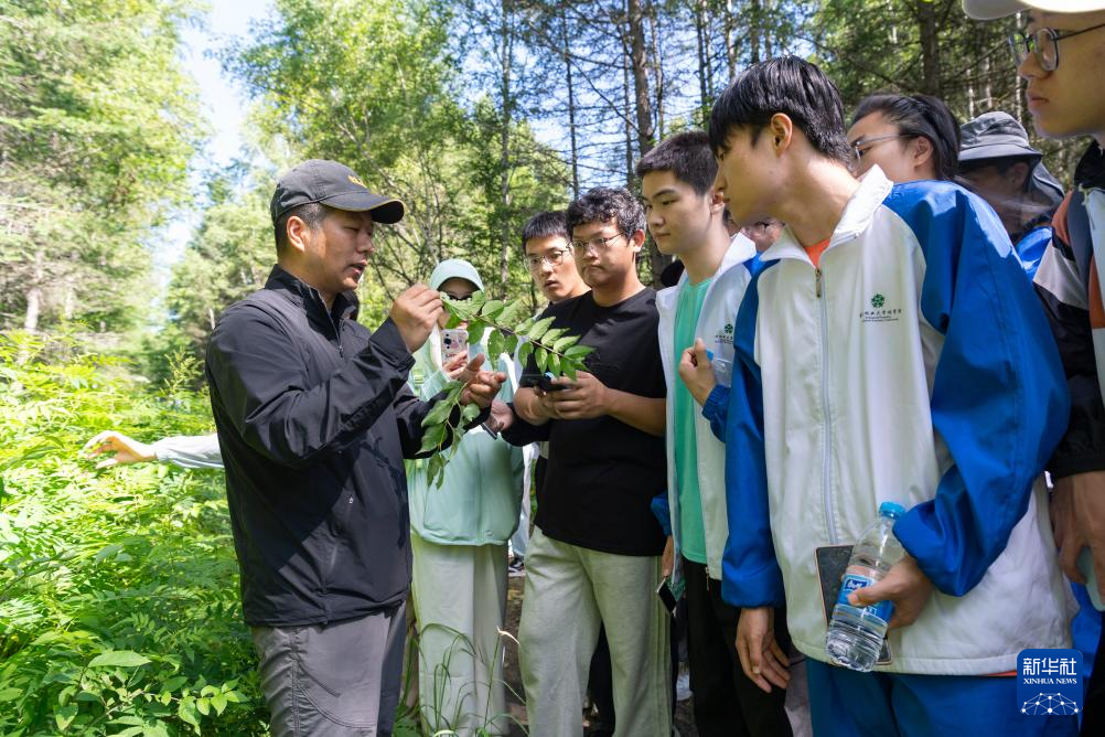 黑龙江：在自然中学习成长