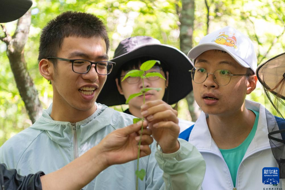 黑龙江：在自然中学习成长