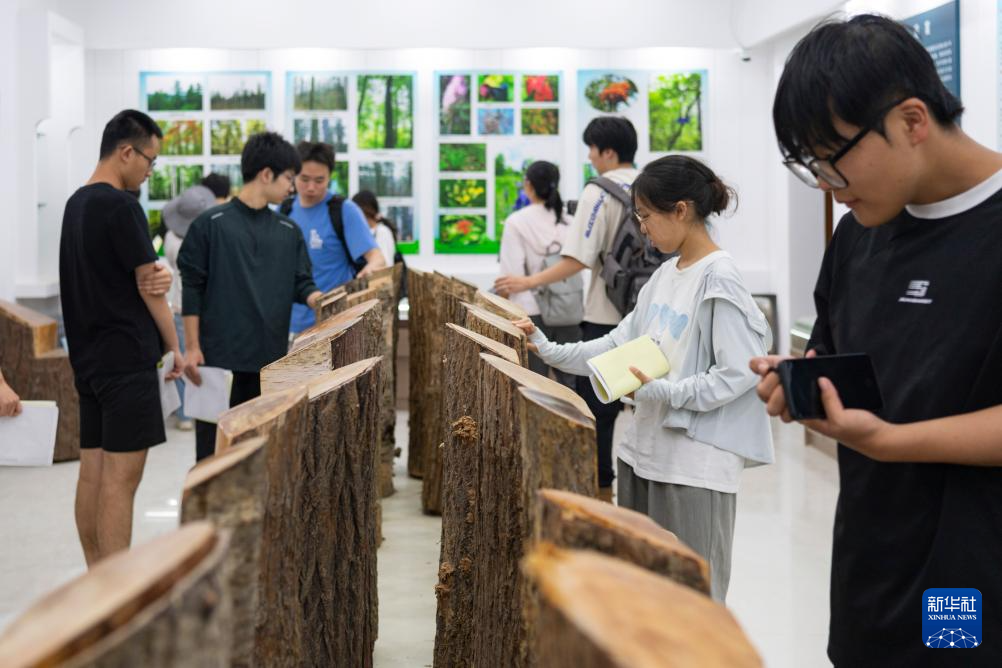 黑龙江：在自然中学习成长