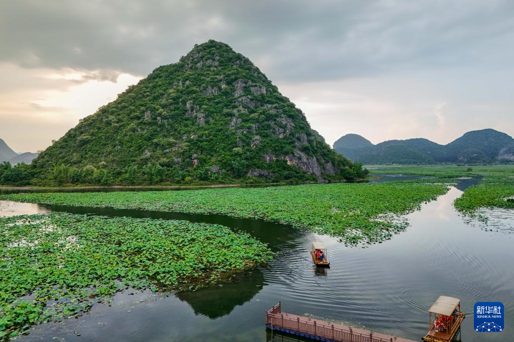 云南普者黑：山水画卷里升腾“夏日经济”