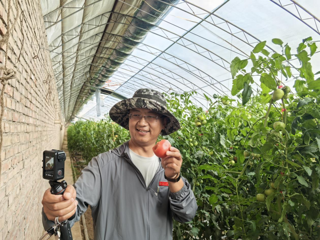 草原村播让鄂托克好物从草原走向全国 | 可爱鄂托克 · 奋进新篇章
