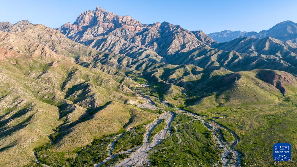 美丽中国丨绿染贺兰山