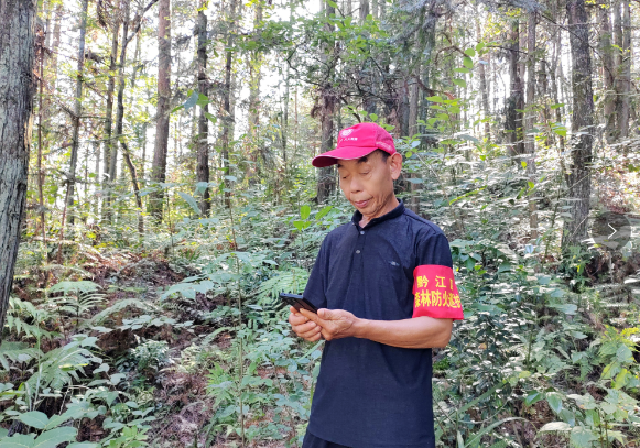 重庆黔江水市镇：“指尖+脚板”双网格联动织密森林防火网