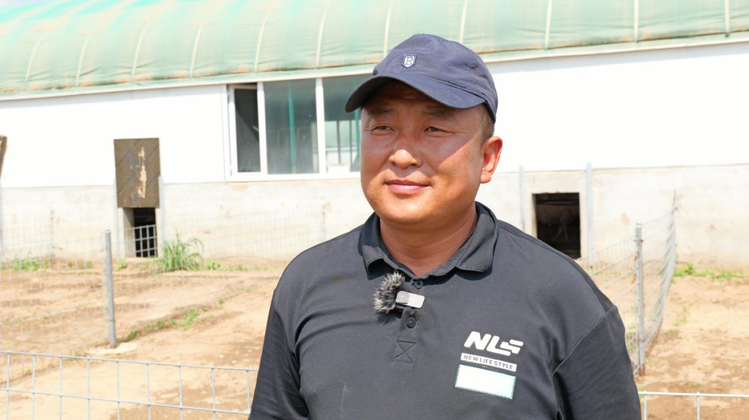 “放母收羔”模式搭建户企共赢的致富桥 | 可爱鄂托克· 共富牧歌扬