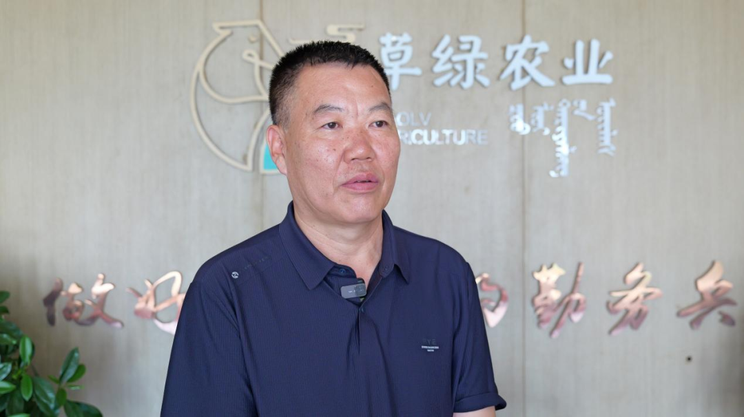 “放母收羔”模式搭建户企共赢的致富桥 | 可爱鄂托克· 共富牧歌扬