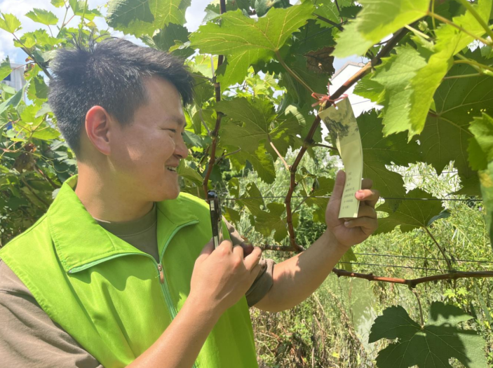 小葡萄串起大幸福——江苏常州戚墅堰街道河苑社区“全龄益角”里的中国式治理新图景