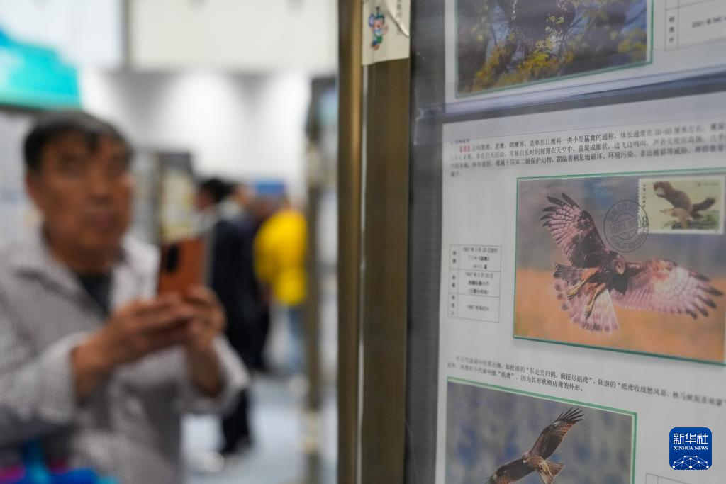 东北三省集邮展览在漠河举行