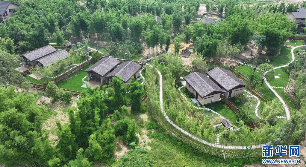 广东新丰：“美丽经济”向新 绘就农文旅深度融合新画卷