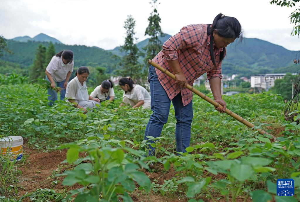 图片故事丨深山四胞胎的暑假