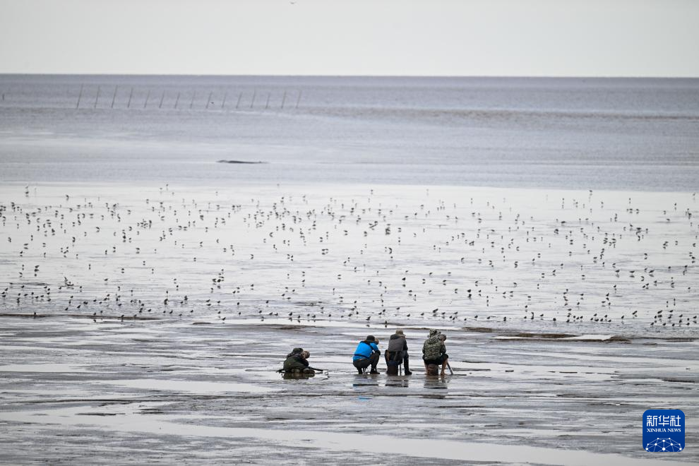 保护修复湿地生态 促进人与自然和谐共生