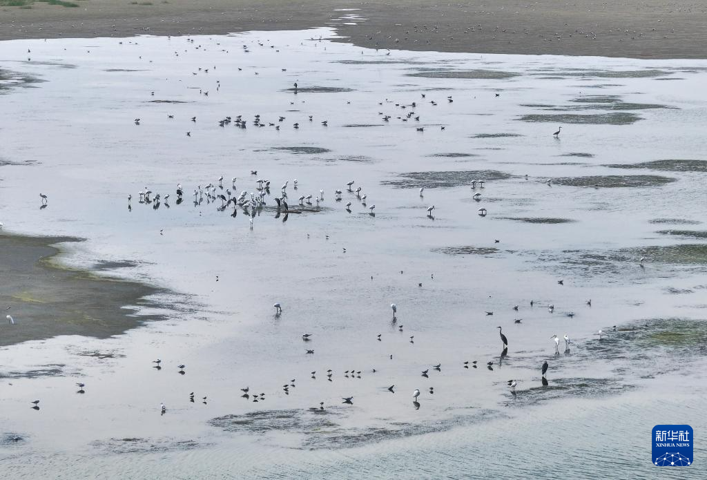 保护修复湿地生态 促进人与自然和谐共生