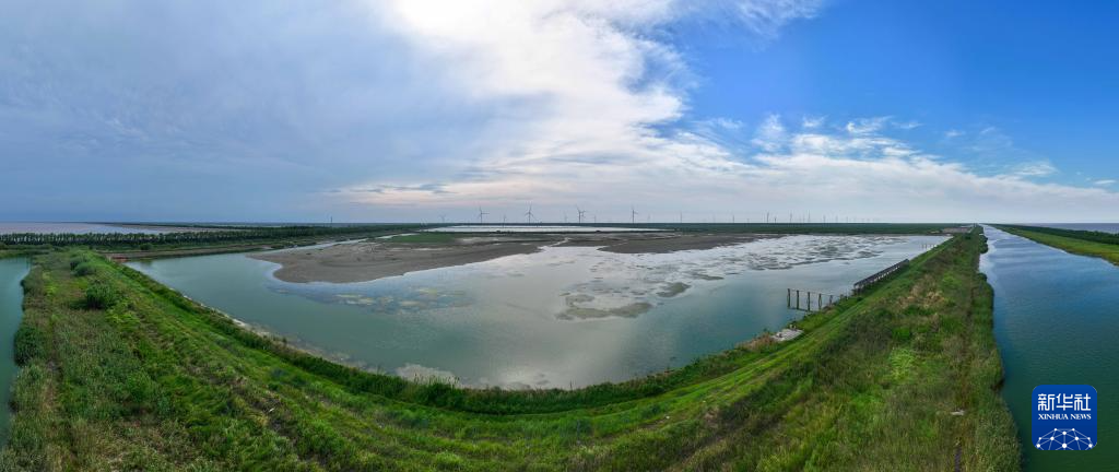 保护修复湿地生态 促进人与自然和谐共生
