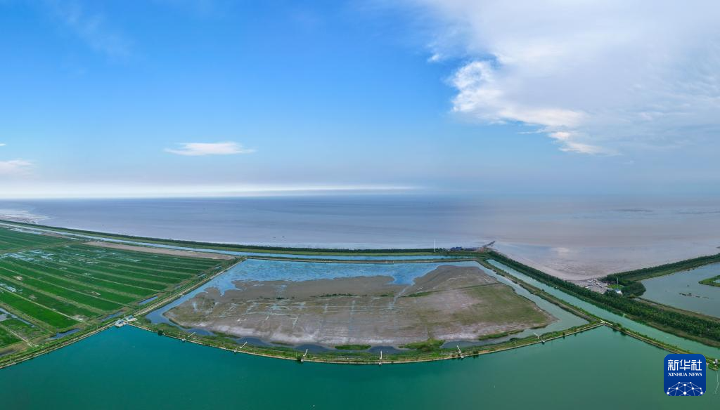 保护修复湿地生态 促进人与自然和谐共生