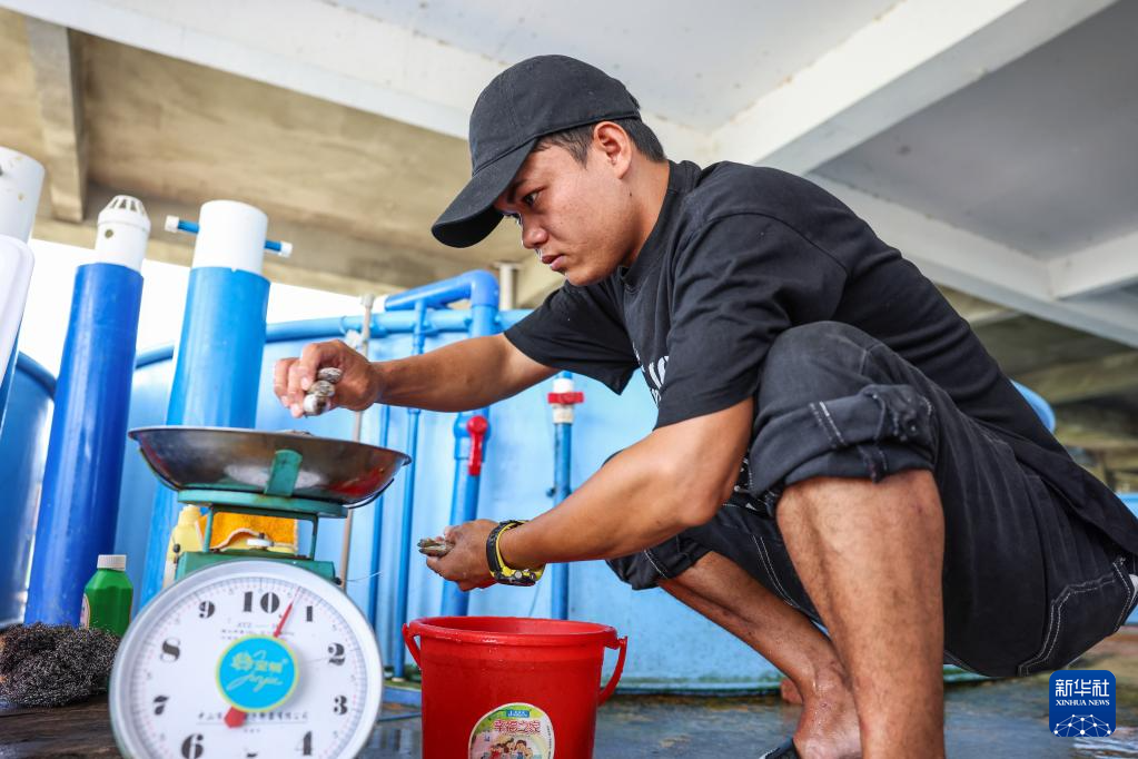 海南万宁获救海豚“万万”恢复良好 即将重返大海