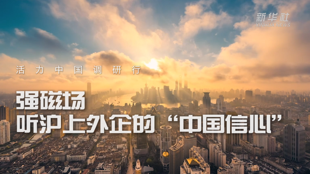 活力中国调研行｜强磁场——听沪上外企的“中国信心”
