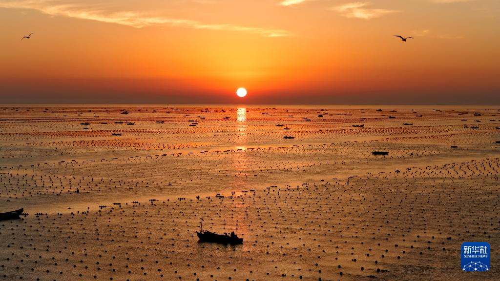 海上“晨耕”图