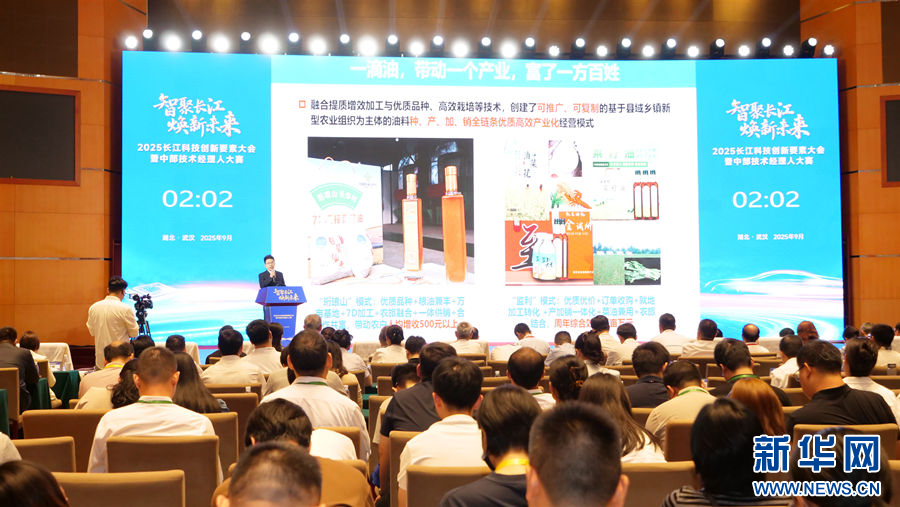 2025长江科技创新要素大会暨中部技术经理人大赛在武汉举办