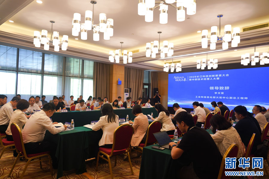 2025长江科技创新要素大会暨中部技术经理人大赛在武汉举办