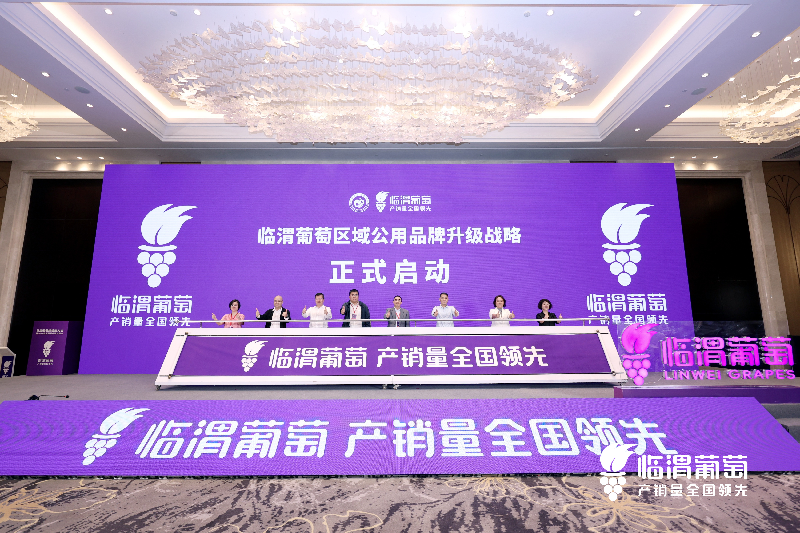 渭南市临渭区：一场葡萄盛会 焕发产业升级新活力