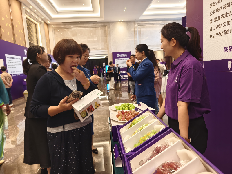 渭南市临渭区：一场葡萄盛会 焕发产业升级新活力