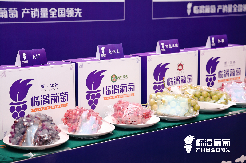 渭南市临渭区：一场葡萄盛会 焕发产业升级新活力