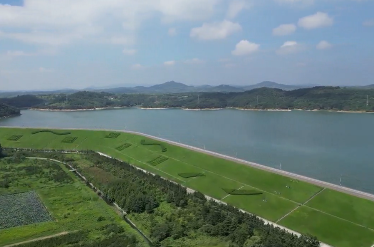 见证河湖蝶变 | 日照水库蝶变之路：生态保护与可持续发展共赢的范例