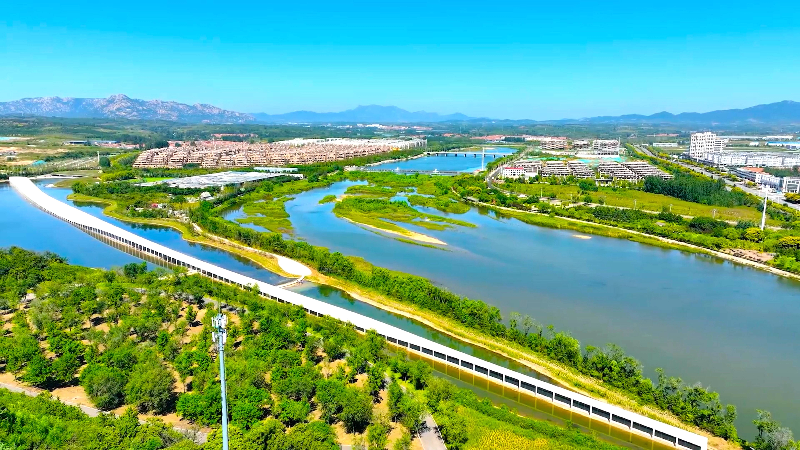 见证河湖蝶变丨五莲潮白河：碧水清流绘就生态画卷