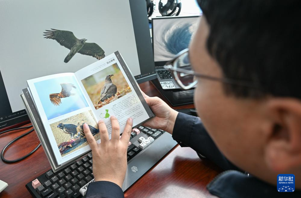 图片故事丨额尔古纳湿地的追鸟人