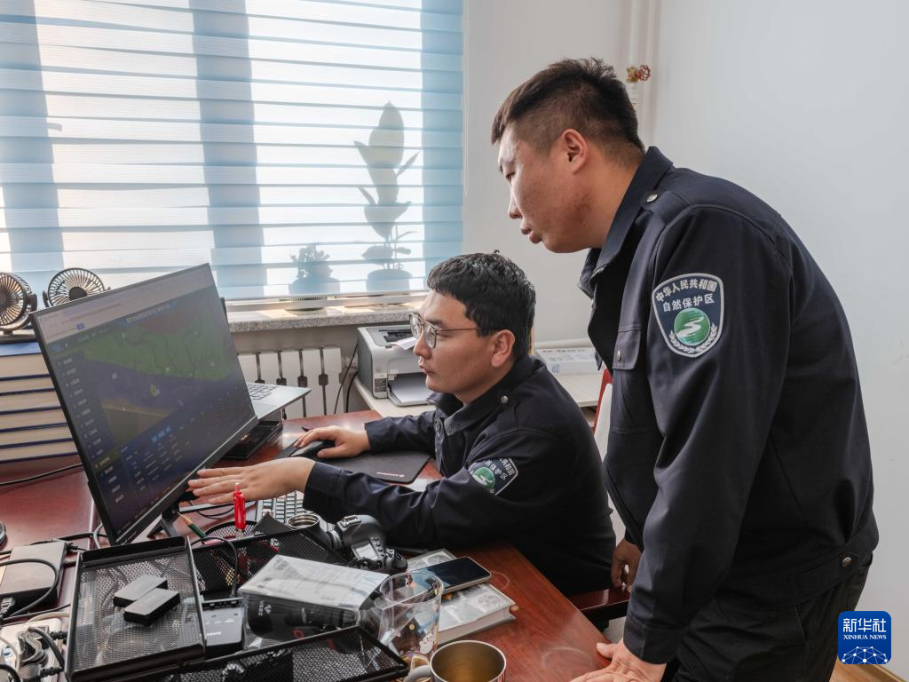 图片故事丨额尔古纳湿地的追鸟人