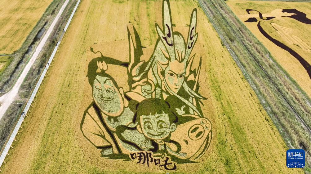 内蒙古准格尔旗：黄河蜿蜒 稻田作画