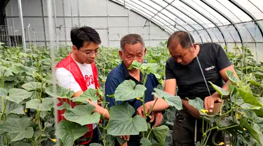 河南“三秋”生产迎“雨考” 多重保障护丰收