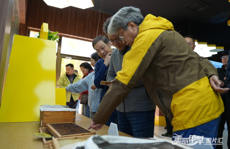 以天山为卷，以诗意为笔——“百里画廊唐布拉·天山诗会”侧记