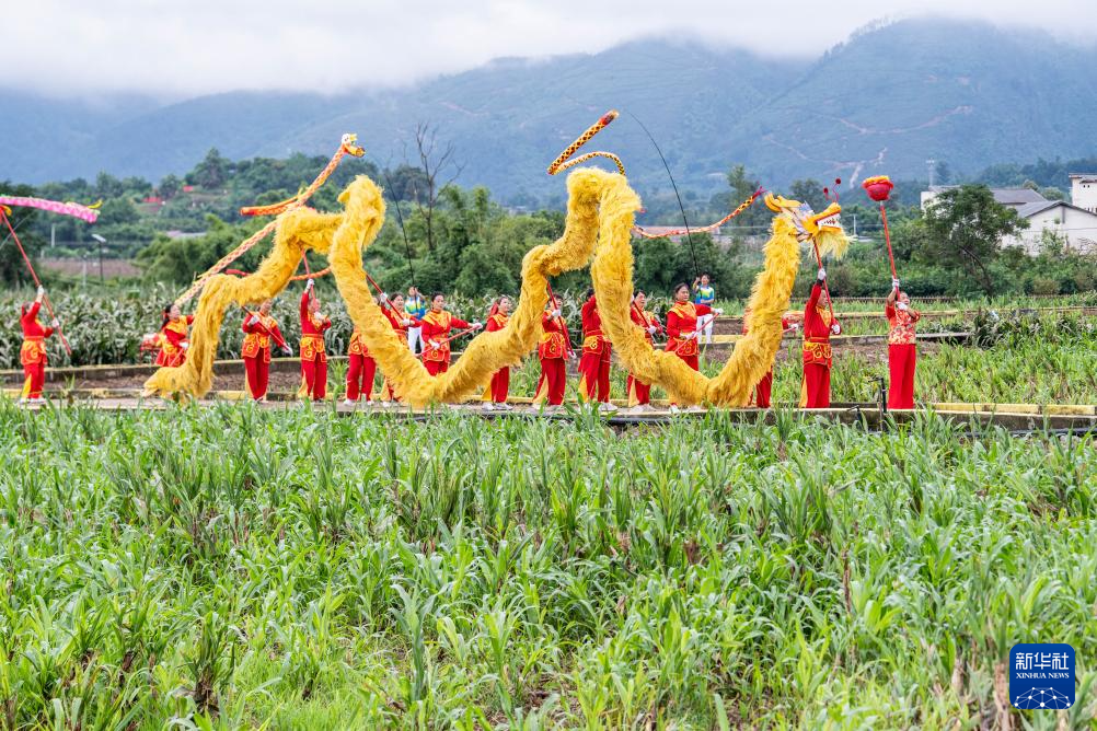 重庆璧山：农文旅融合绘就新农村画卷