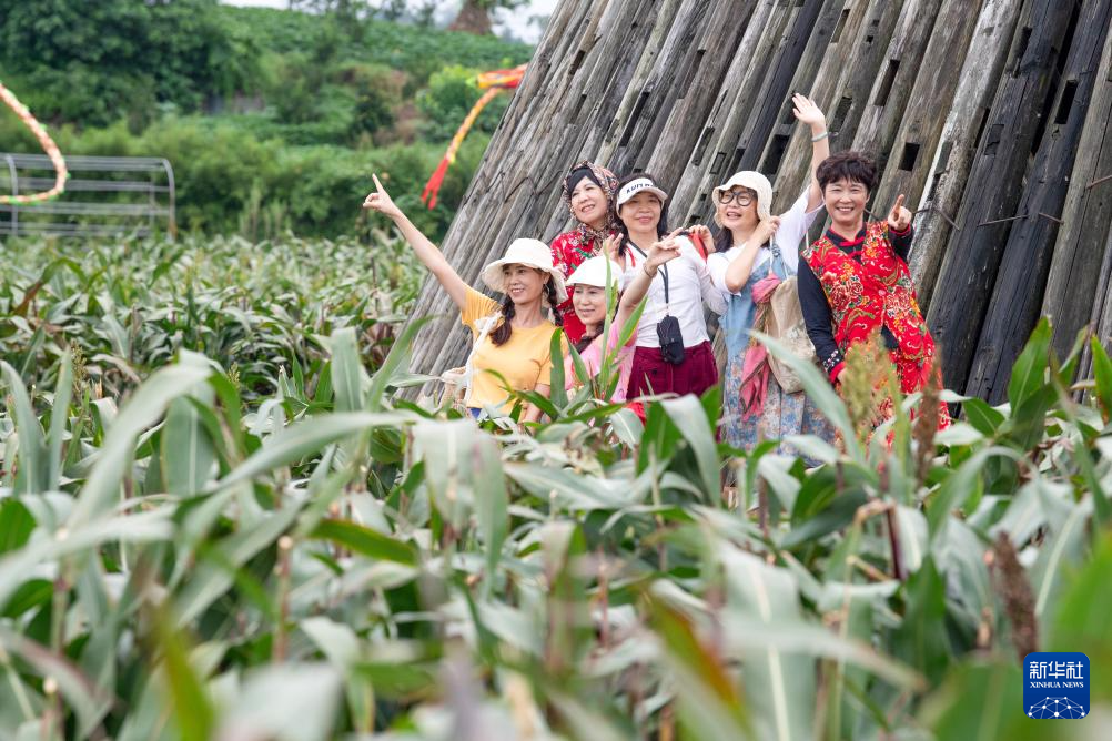 重庆璧山：农文旅融合绘就新农村画卷