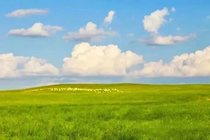 鄂托克旗：多元特色产业开辟乡村振兴新路径