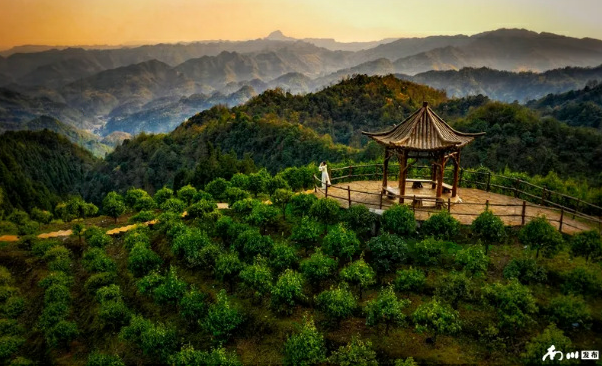 “东方咖啡”南川味，茶香油香敬远客