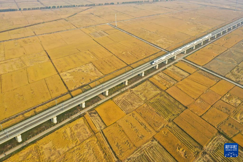 吉林：机械化助力秋收加速