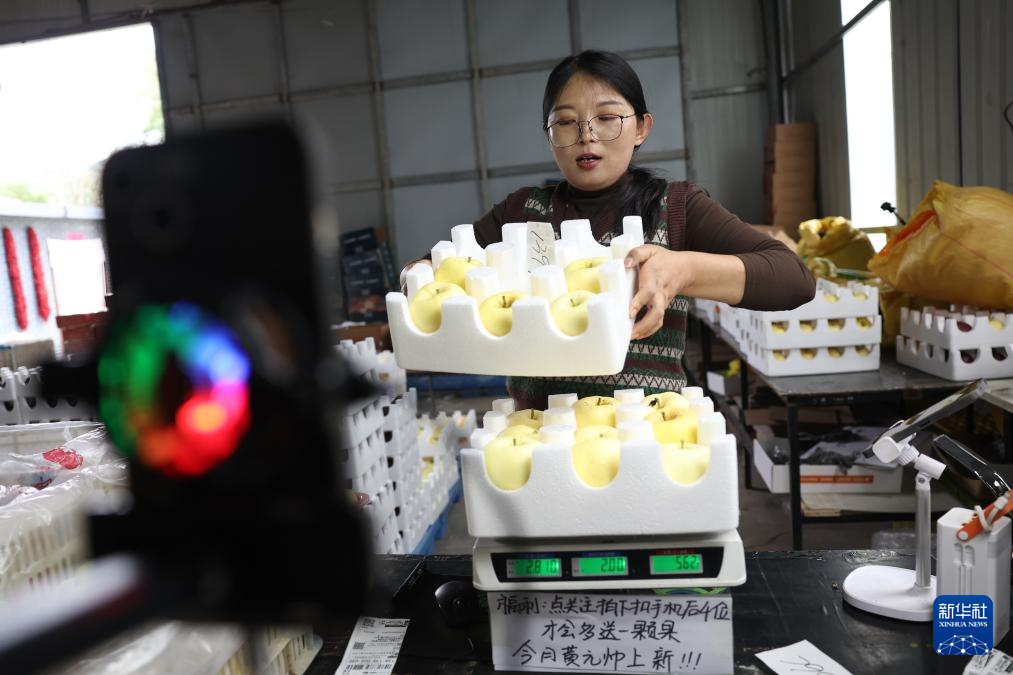 甘肃礼县：苹果“链”出富民产业