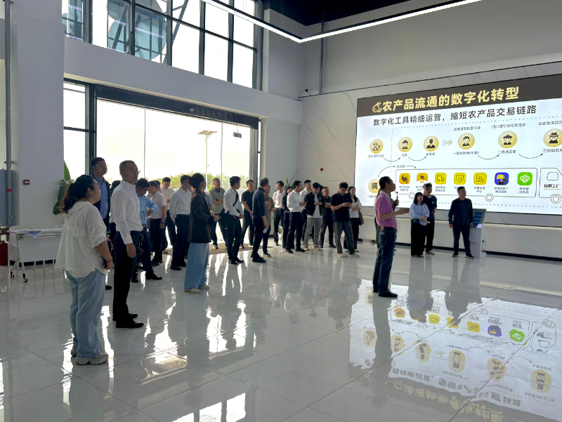 成都平台经济“雁阵”起飞：从本土深耕到全国领跑-新华网