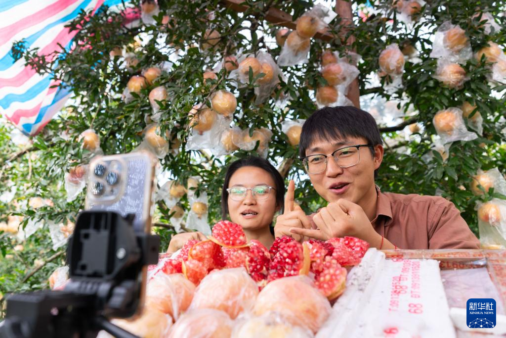 云南蒙自：“红宝石”串起增收产业链