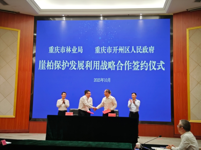 重庆开州：以崖柏保护利用促产业融合发展