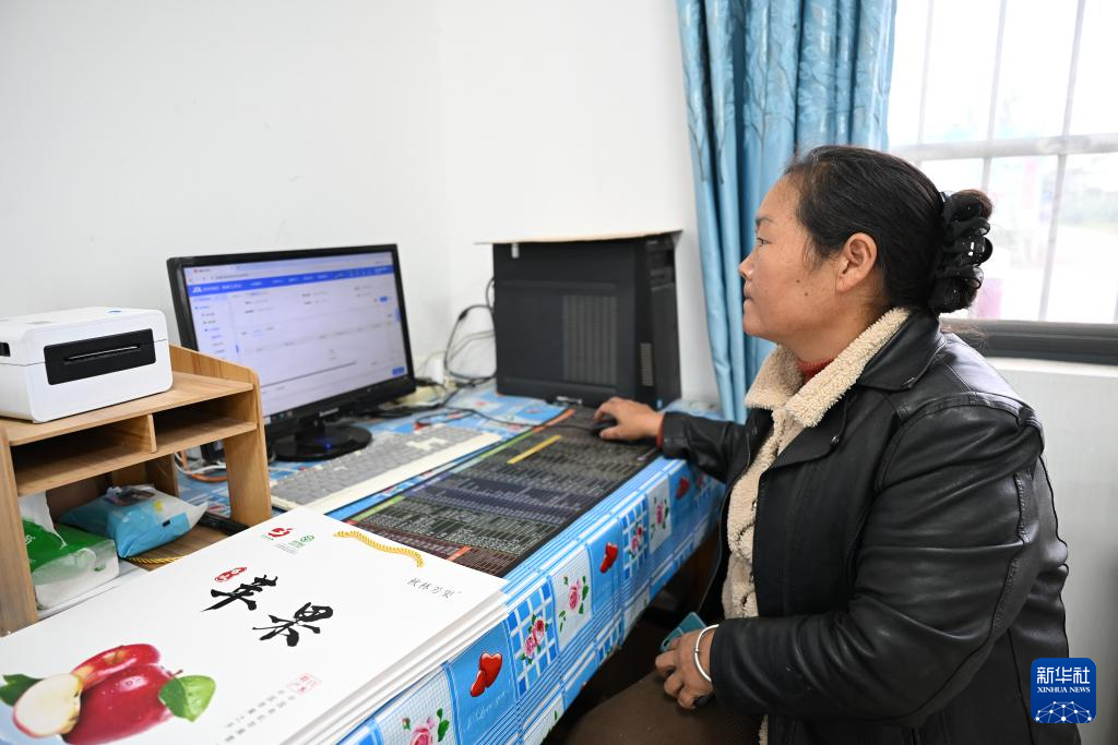 陕西白水：金秋果乡溢果香