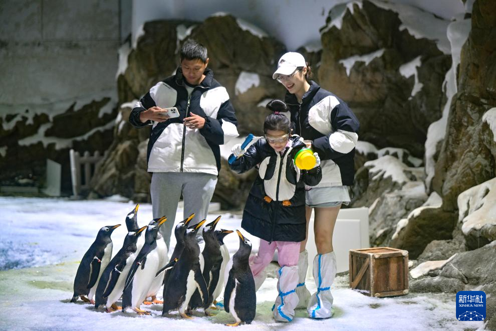 海南陵水:惬意错峰游